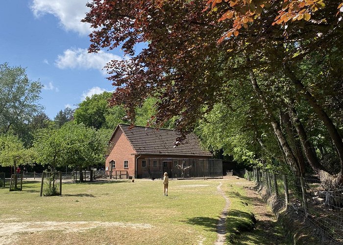 Kattekensberg Speeltuinen in Brasschaat? 10 tips voor gezinnen met kinderen. photo