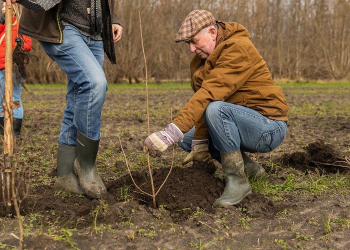 Zoomland Successful planting in Conclusion Impact Forest photo