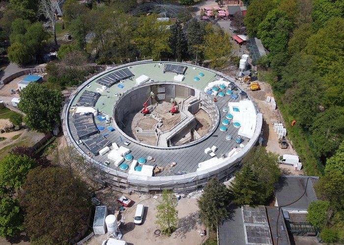 Dresden Zoo Construction update on the Orangutan House - Zoo Dresden photo