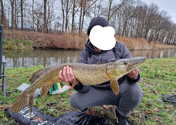 Larserbos Caught my PB pike today 41 inch. : r/Fishing photo