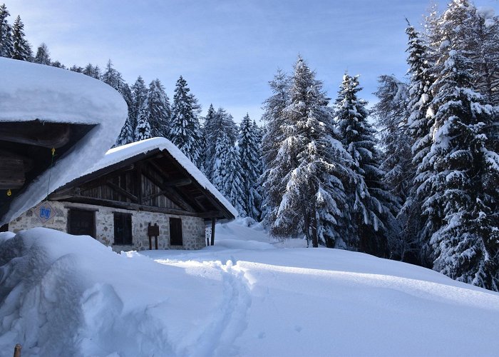 Orso Bruno The most beautiful winter sports in Commezzadura | Outdooractive photo