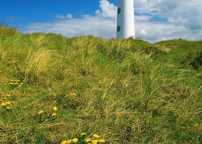 Egmond Egmond aan Zee Beach Tours - Book Now | Expedia photo