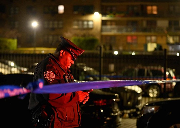 Ebbets Field Apartments Brooklyn man shot dead in his head near Ebbets Field apartments ... photo