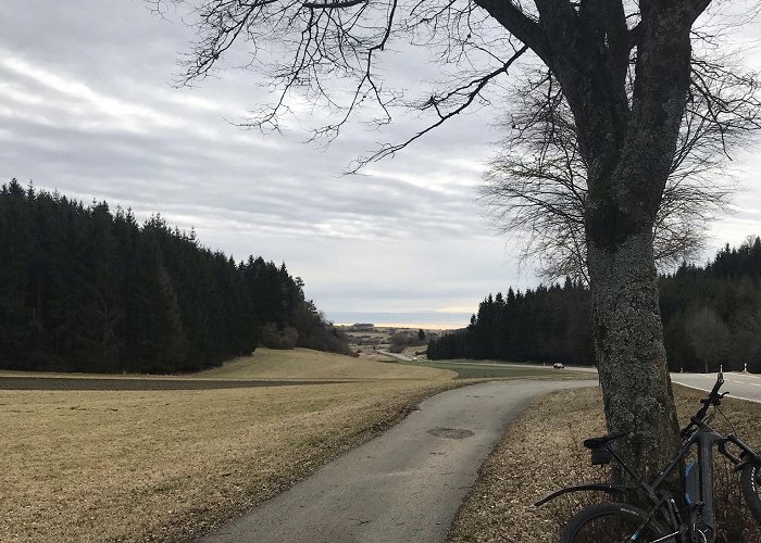 dreifürstenstein The Top MTB Rides in Mössingen: find your trail | Outdooractive photo