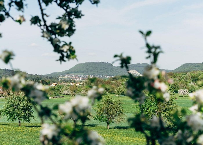 dreifürstenstein The Top Hiking Trails in Mössingen | Outdooractive photo