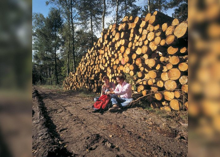 Boswachterij Leersum Duurzaam bosbeheer in boswachterij Leersum - Nieuwsblad De Kaap ... photo