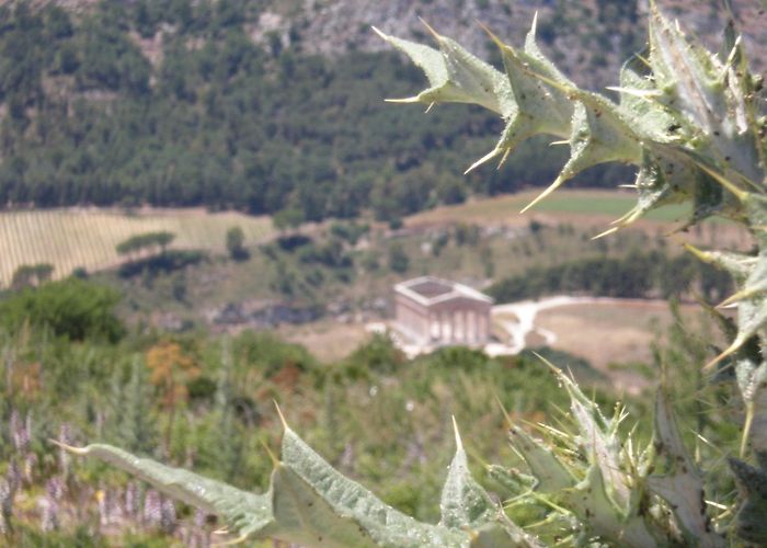 Segesta Visit Calatafimi: 2024 Travel Guide for Calatafimi, Sicily | Expedia photo