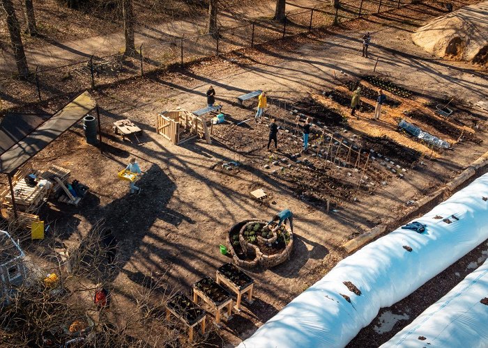 Brakkenstein Weed and sow in the university's community garden - Vox magazine photo