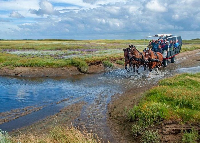 Terschelling VVV Excursions on Terschelling | Book your excursion online now | VVV ... photo