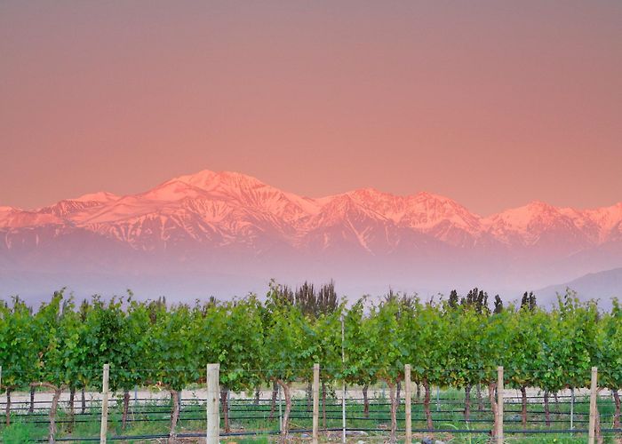 Diego Torres Winery Travel Guide to Argentina's Wine Regions | Vogue photo