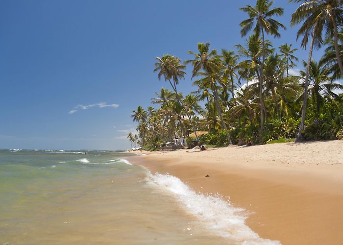 village Praia do Forte Praia do Forte Tour in Imbassai | Palladium Travel Club photo