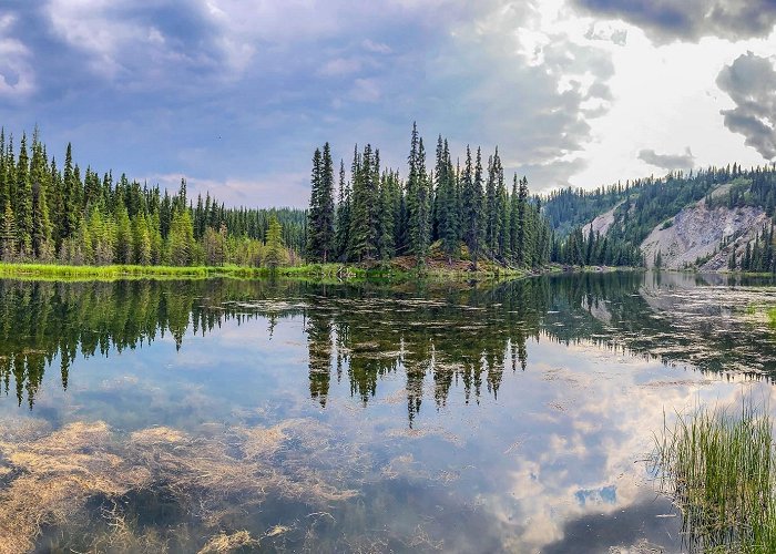 Denali Park photo