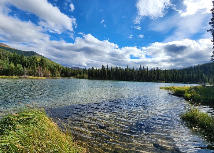 Denali Park photo