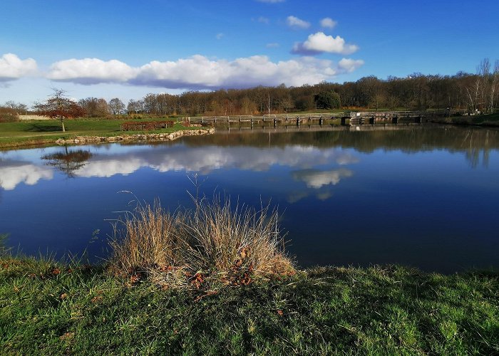 Verrieres-en-Anjou photo