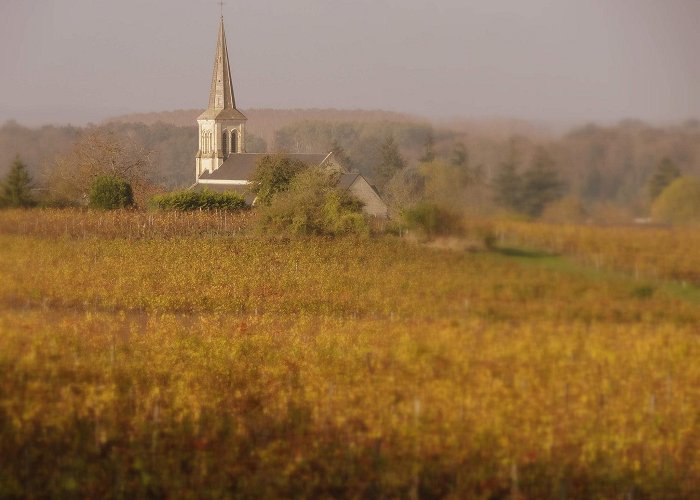 Beaumont-en-Veron photo