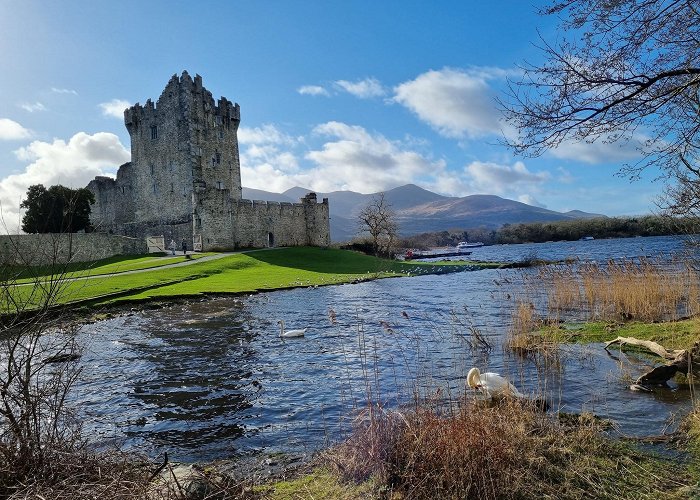 Killarney photo