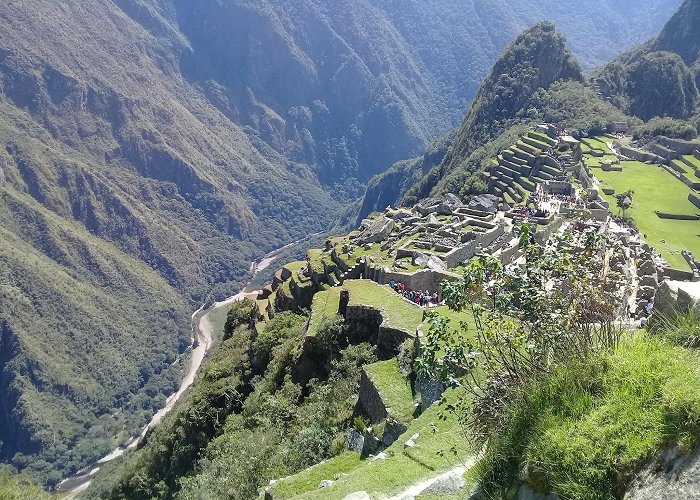 Machu Picchu photo