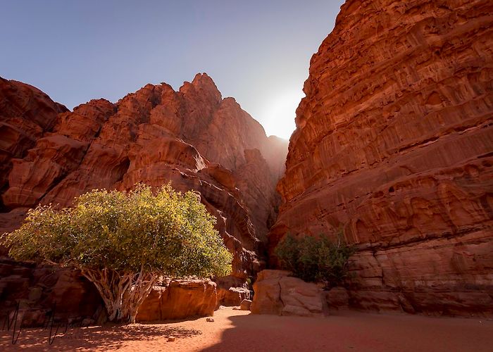 Wadi Rum photo