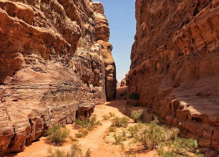 Wadi Rum photo