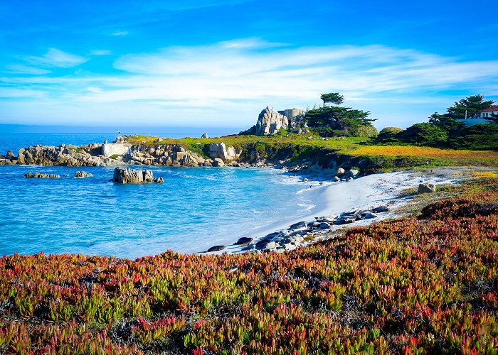 Pacific Grove photo