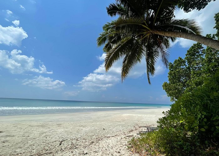 Havelock Island photo