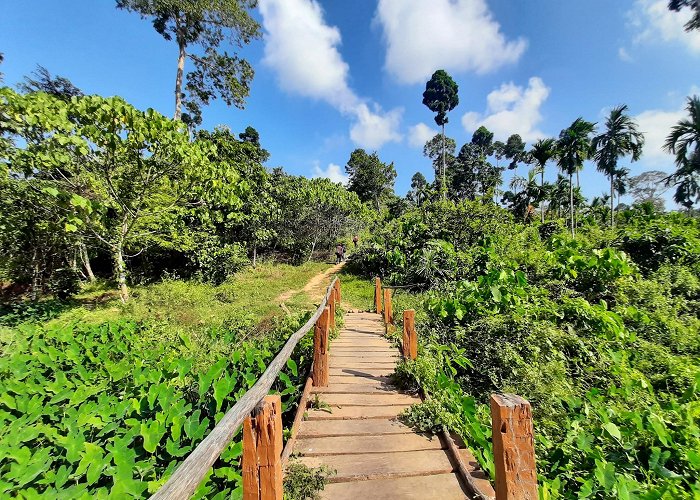 Havelock Island photo