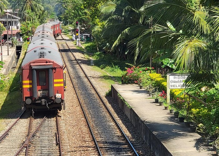 Weligama photo