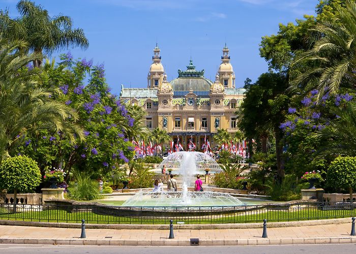 Monte Carlo photo