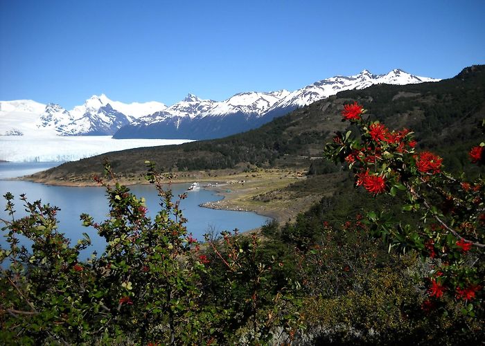 El Calafate photo