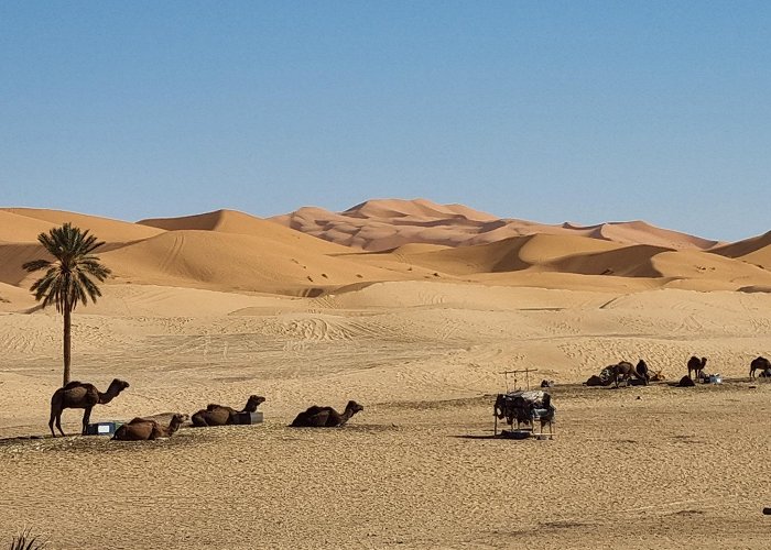 Merzouga photo