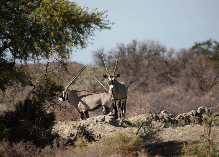 Beaufort West photo