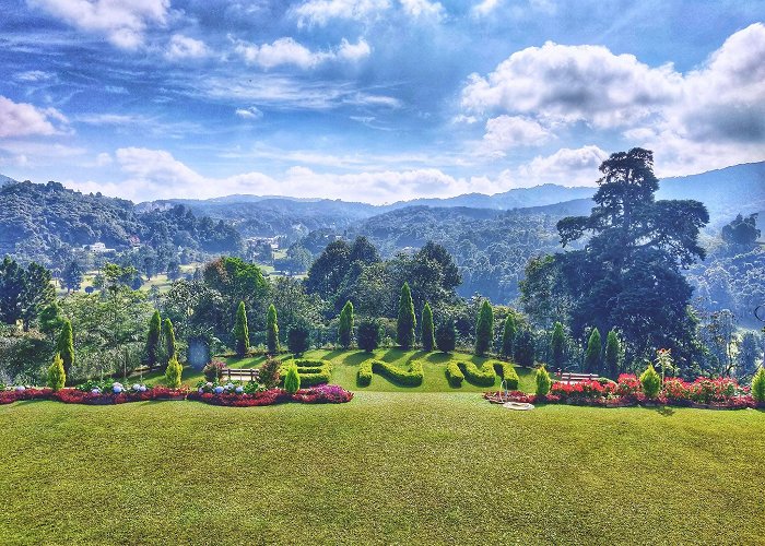 Cameron Highlands photo