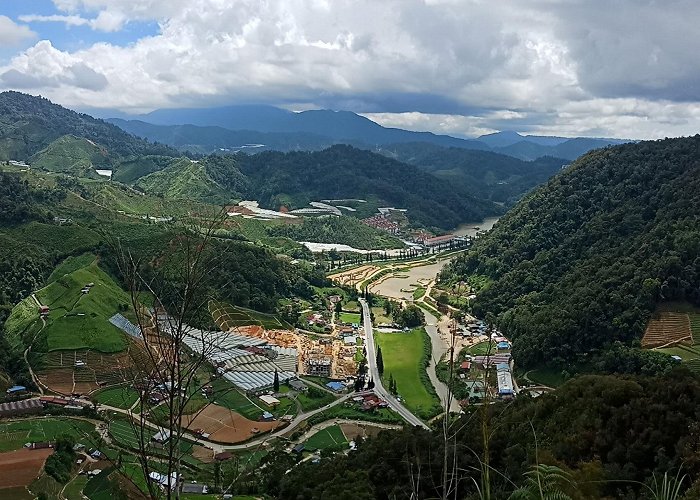 Cameron Highlands photo