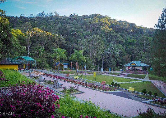 Cameron Highlands photo