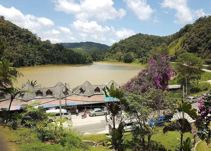 Cameron Highlands photo