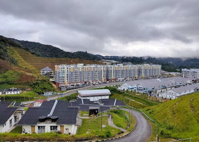 Cameron Highlands photo