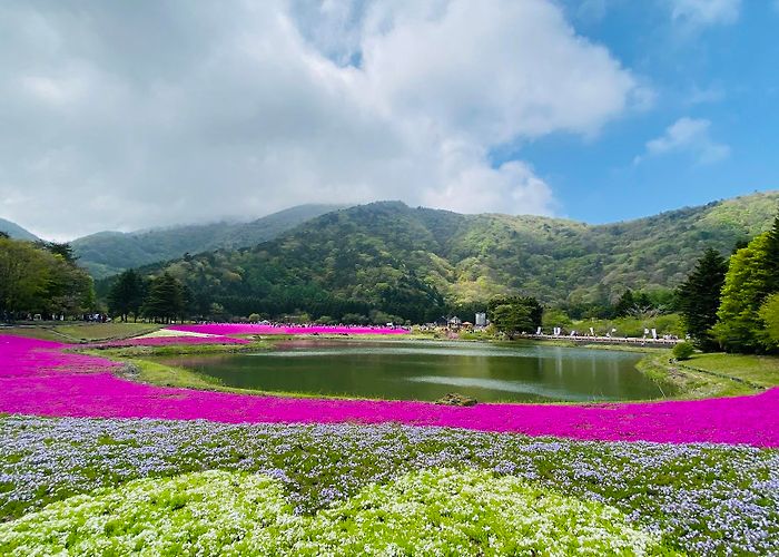 Fujikawaguchiko photo