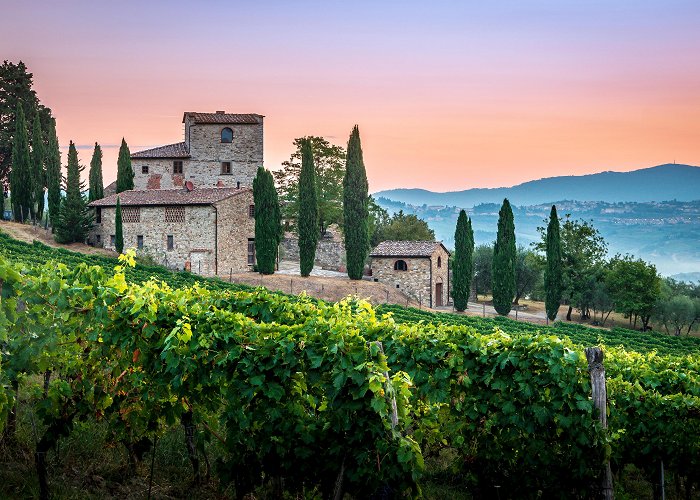 Castellina in Chianti photo