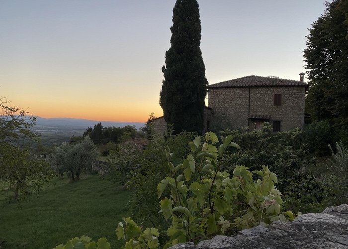 Castellina in Chianti photo