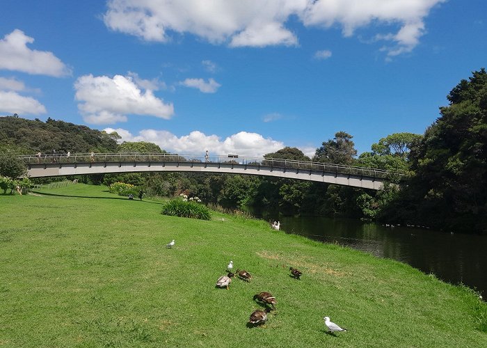 Kerikeri photo