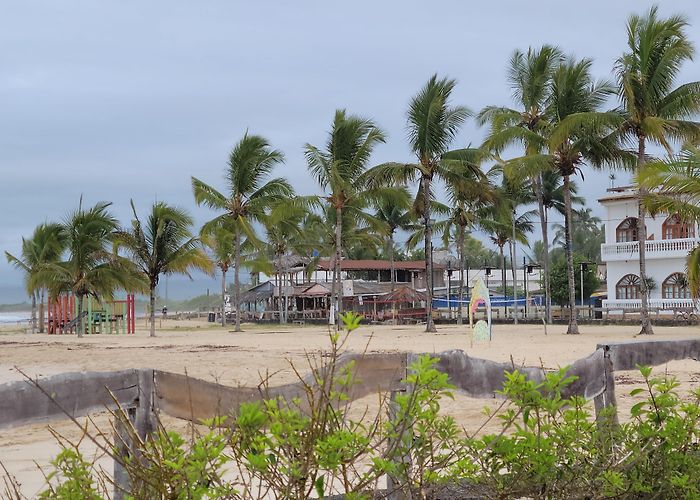 Puerto Villamil photo