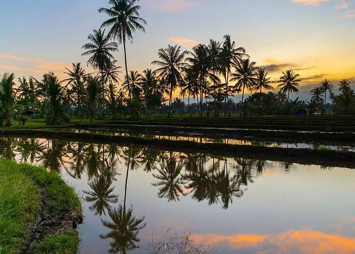 Banyuwangi (East Java) photo