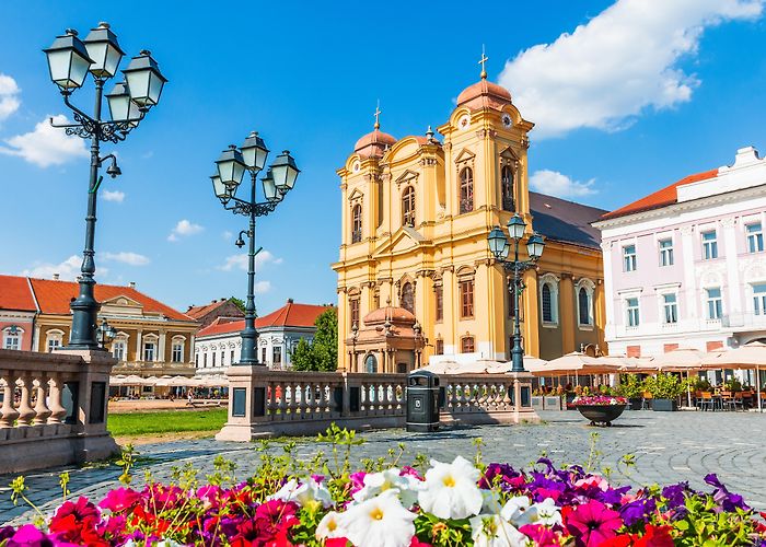 Timisoara photo