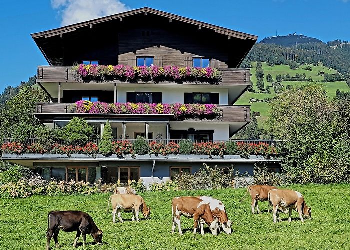 Westendorf photo