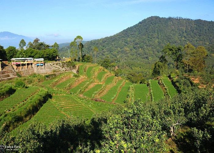 Batu (East Java) photo