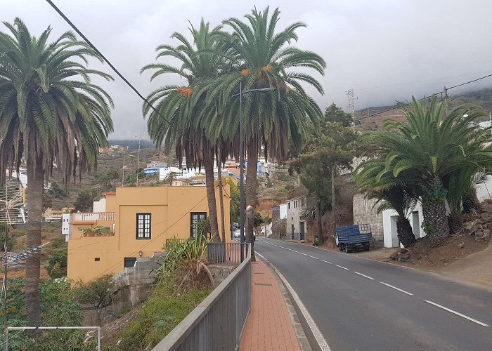 Santa Ursula (Tenerife) photo