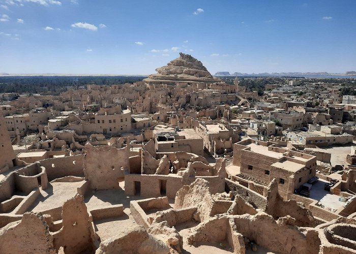 Siwa Oasis photo