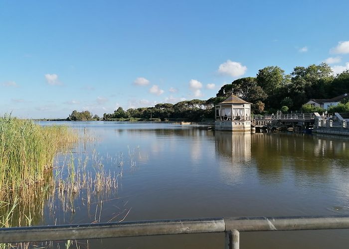 Torre del Lago Puccini photo