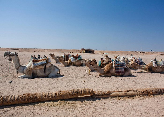 Nouakchott photo