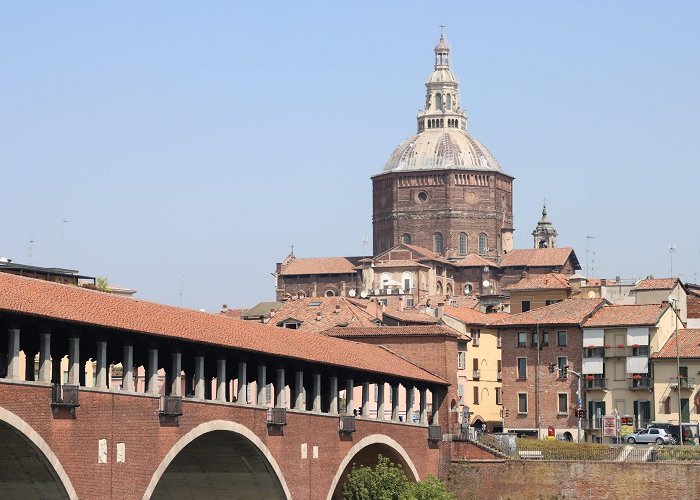 Pavia photo